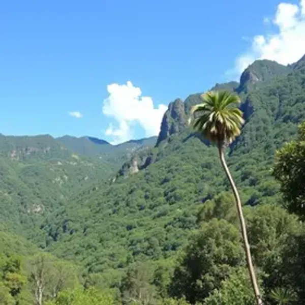 Quanto custa viajar para Canela: guia para planejar o orçamento