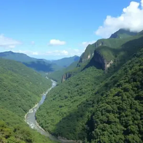 Quanto custa visitar Serra do Rio do Rastro: gastos médios e economia