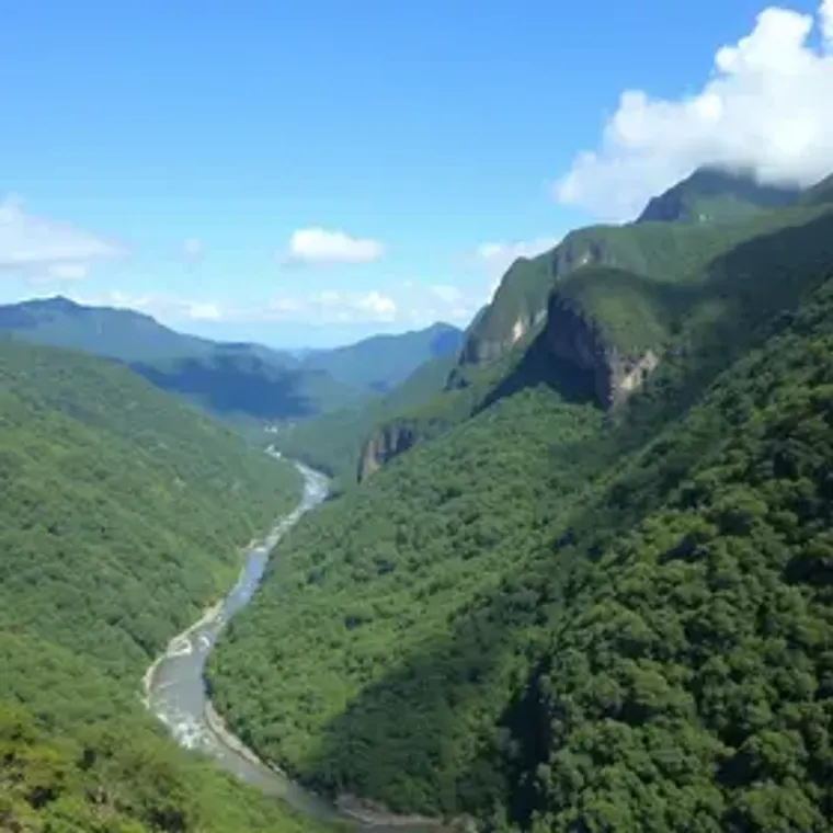 Quanto custa visitar Serra do Rio do Rastro: gastos médios e economia