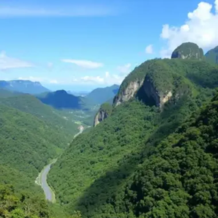 Serra do Rio do Rastro vale a pena: dicas práticas para turistas