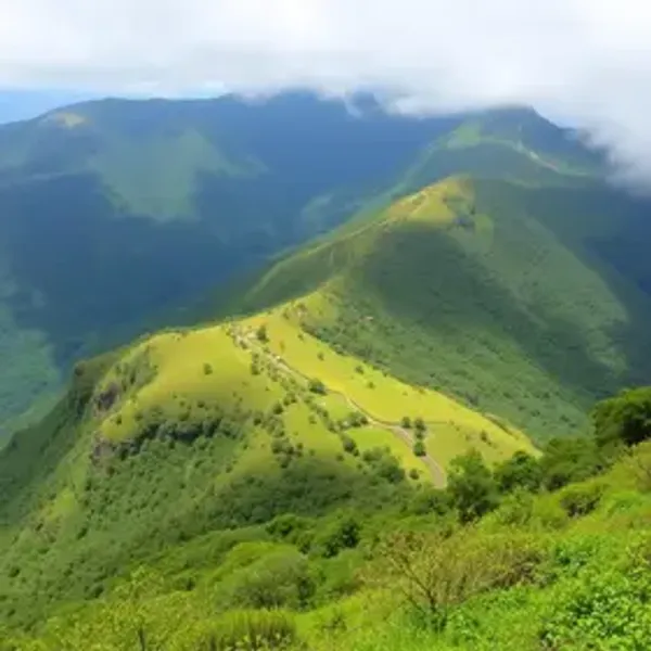 Como chegar no Parque Nacional do Itatiaia: guia de acesso para turistas