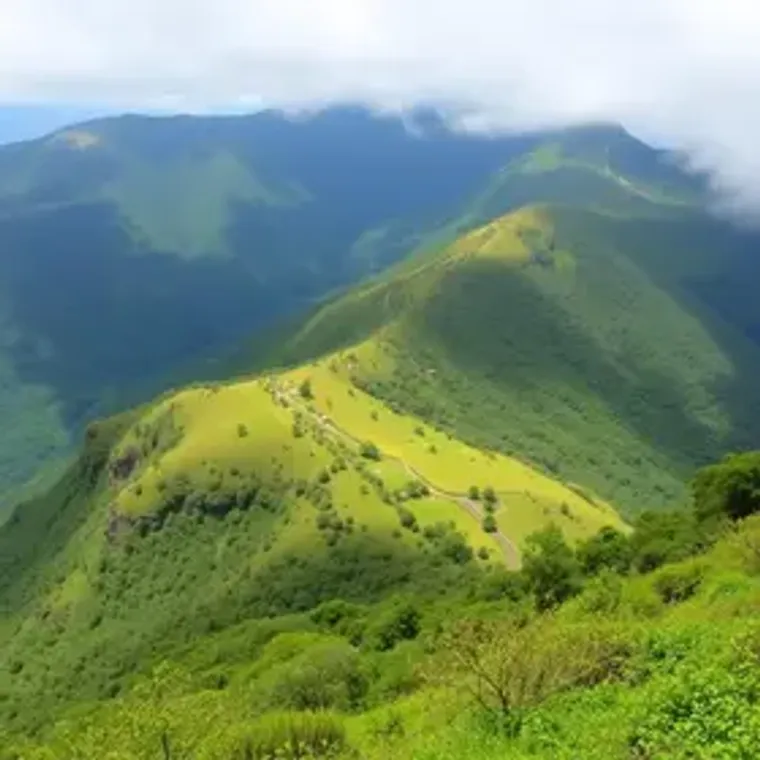 Como chegar no Parque Nacional do Itatiaia: guia de acesso para turistas