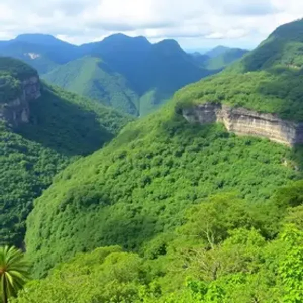 Como chegar no Parque Nacional da Tijuca: passo a passo do trajeto