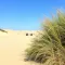Roteiro de ecoturismo no Parque das Dunas: atrações e dicas úteis