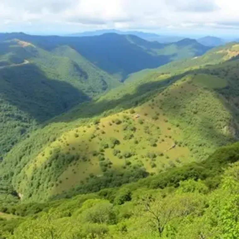 Guia do Parque Nacional de Aparados da Serra para primeira viagem: guia para planejar sua viagem