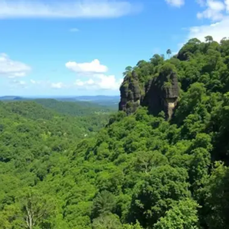 Roteiro de ecoturismo no Jalapão: atrações e dicas úteis