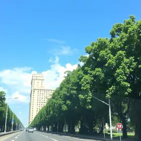 Como chegar em Cambará do Sul saindo de Porto Alegre: carro, ônibus, avião e transfer