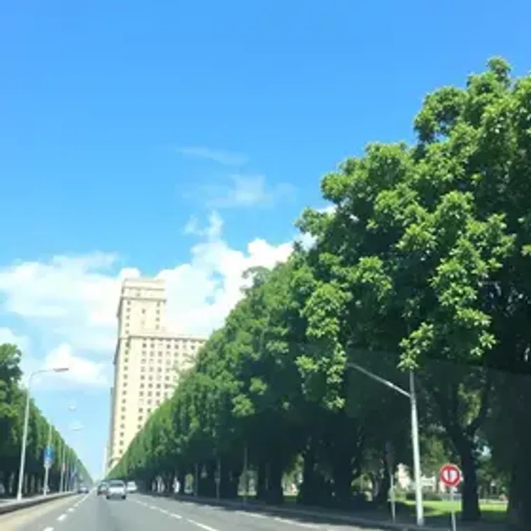 Como chegar em Cambará do Sul saindo de Porto Alegre: carro, ônibus, avião e transfer