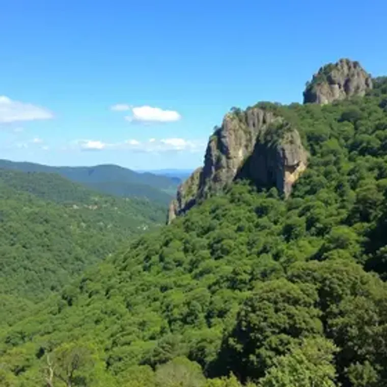 Parque Nacional da Serra dos Órgãos vale a pena: dicas práticas para turistas