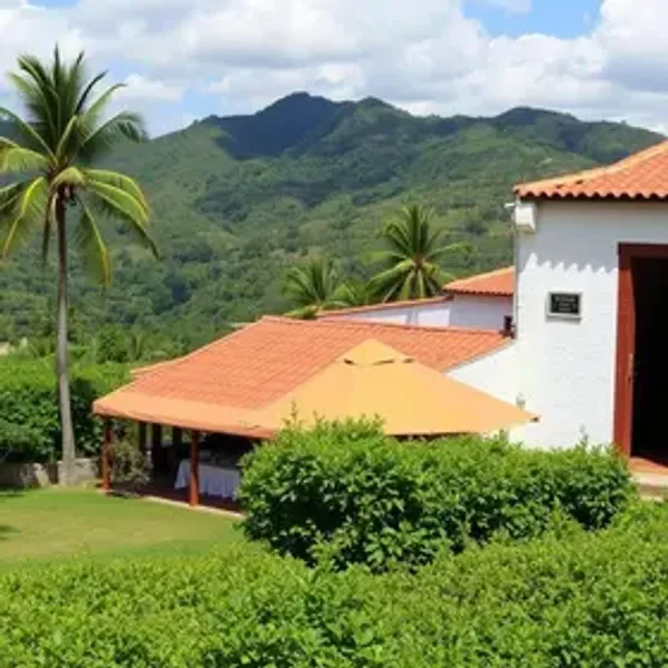 Restaurantes em Trancoso para turistas: dicas práticas para turistas