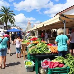 Mercado Público de Florianópolis com crianças vale a pena: guia para planejar sua viagem