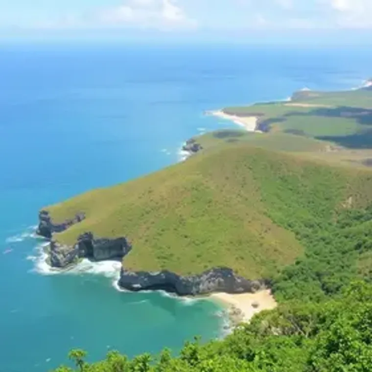 Guia turístico de Ilha do Mel: guia atualizado para viajar melhor