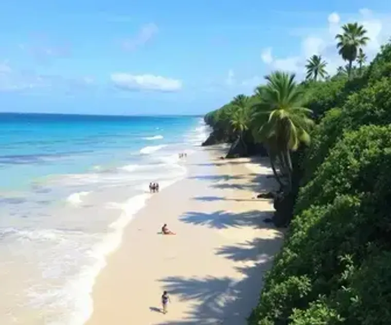 Melhor época para viajar para Ilha do Mel: guia de temporada
