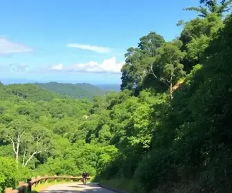 Como chegar no Parque Estadual da Cantareira: guia de acesso para turistas