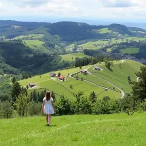 Passeios para casal em Campos do Jordão: dicas práticas para turistas
