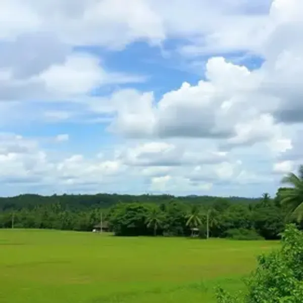 Como chegar em Trancoso saindo de Manaus: carro, ônibus, avião e transfer