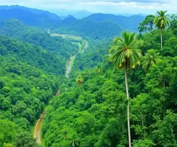 Quanto custa visitar Amazônia brasileira: preços, passeios e hospedagem