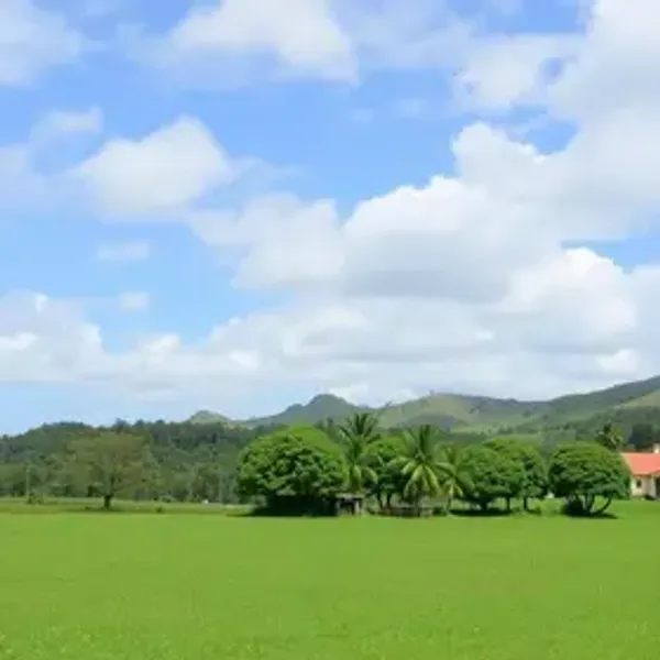 Aeroporto mais próximo de Arraial d'Ajuda: guia para planejar sua viagem