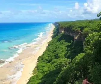 Trilhas em Alagoas para fazer em um dia: dicas práticas para turistas